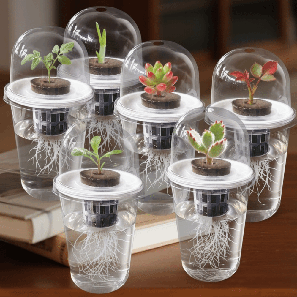 Seed Starter Tray - 1-5 szt. Przezroczyste kubki do kiełkowania