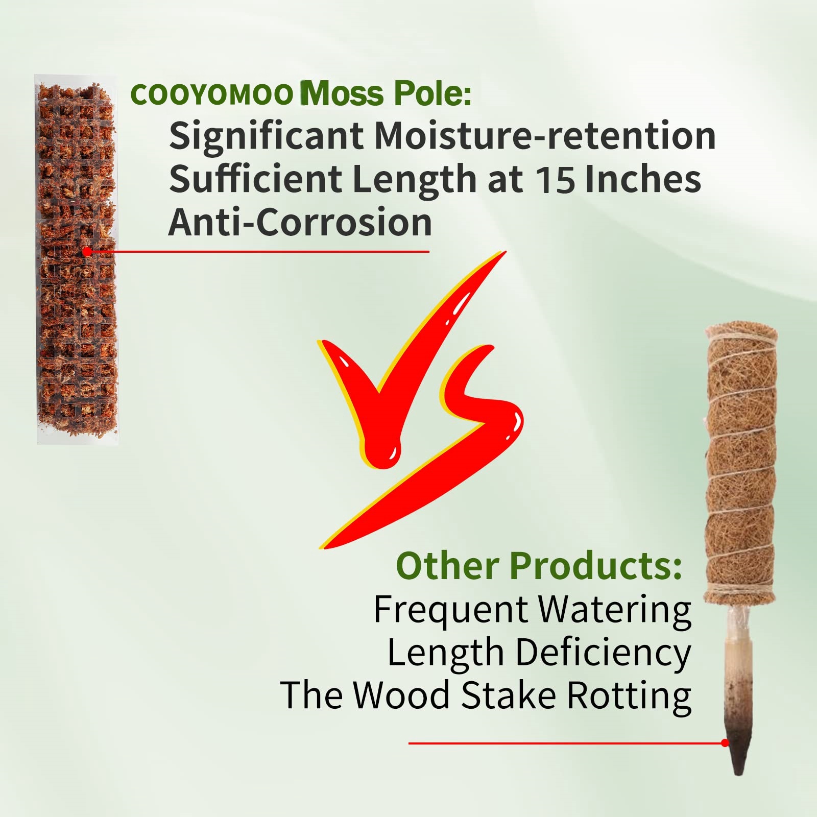Moss Poles Plants Plant Suppor – Indoor Herb Garden recenzja i cena