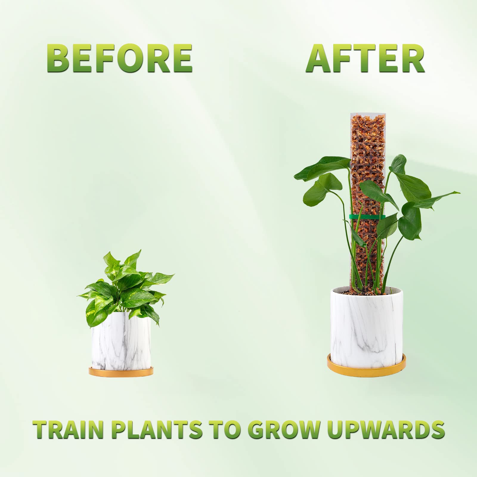 Moss Poles Plants Plant Suppor – Indoor Herb Garden recenzja i cena