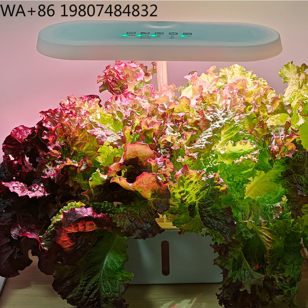 8-otworowy cichy system do upr – Hydroponic Kit recenzja i cena
