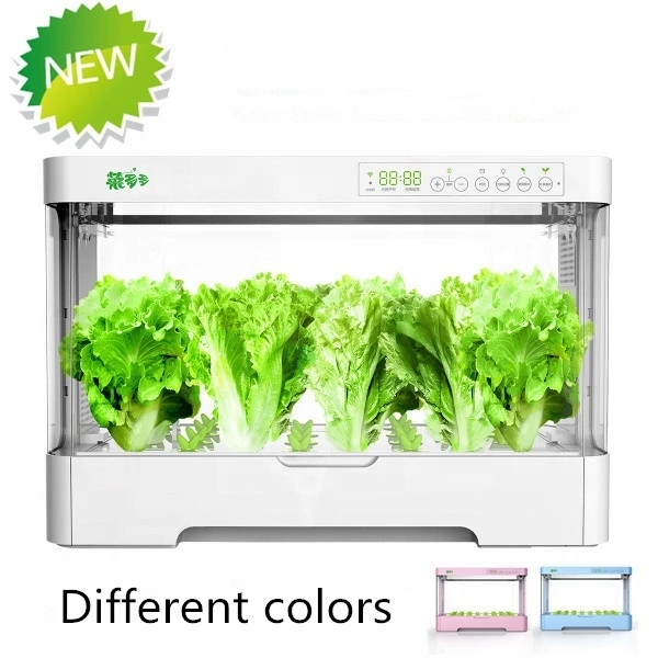 Mała, inteligentna, plastikowa – Hydroponic Kit recenzja i cena