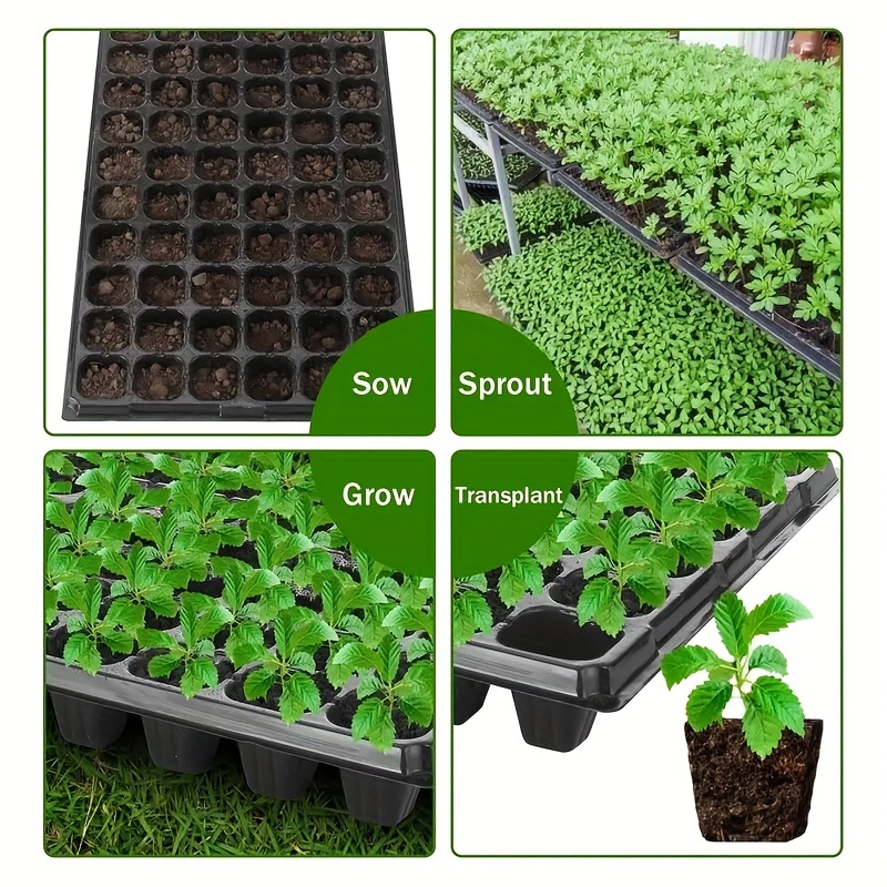 Taca do sadzonek, 10-20, taca  – Seed Starter Tray recenzja i cena