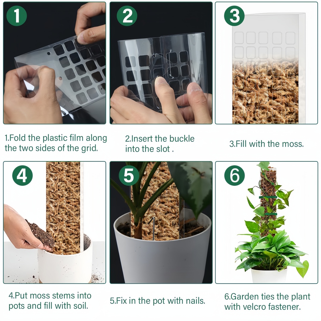 Słup mchu Plastikowy stojak na – Indoor Herb Garden recenzja i cena