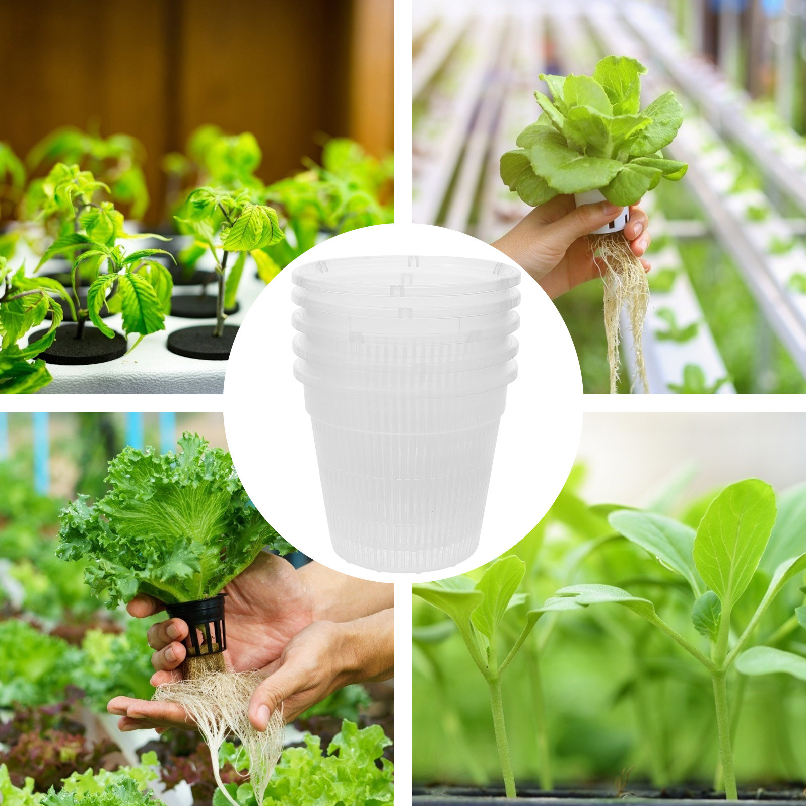 5 sztuk – plastikowe doniczki  – Plant Pot recenzja i cena