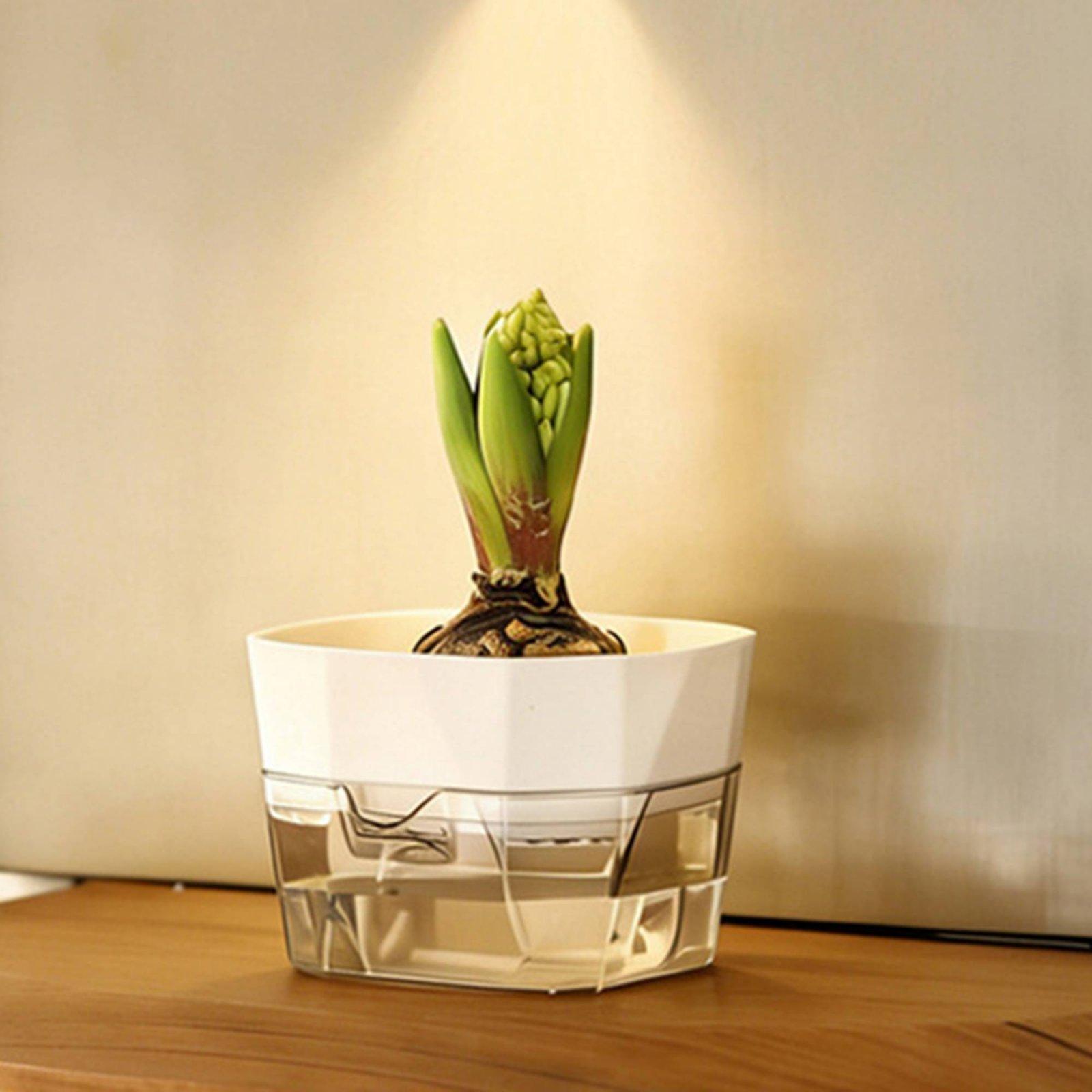Wazon hydroponiczny dwuwarstwo – Self Watering Planter recenzja i cena