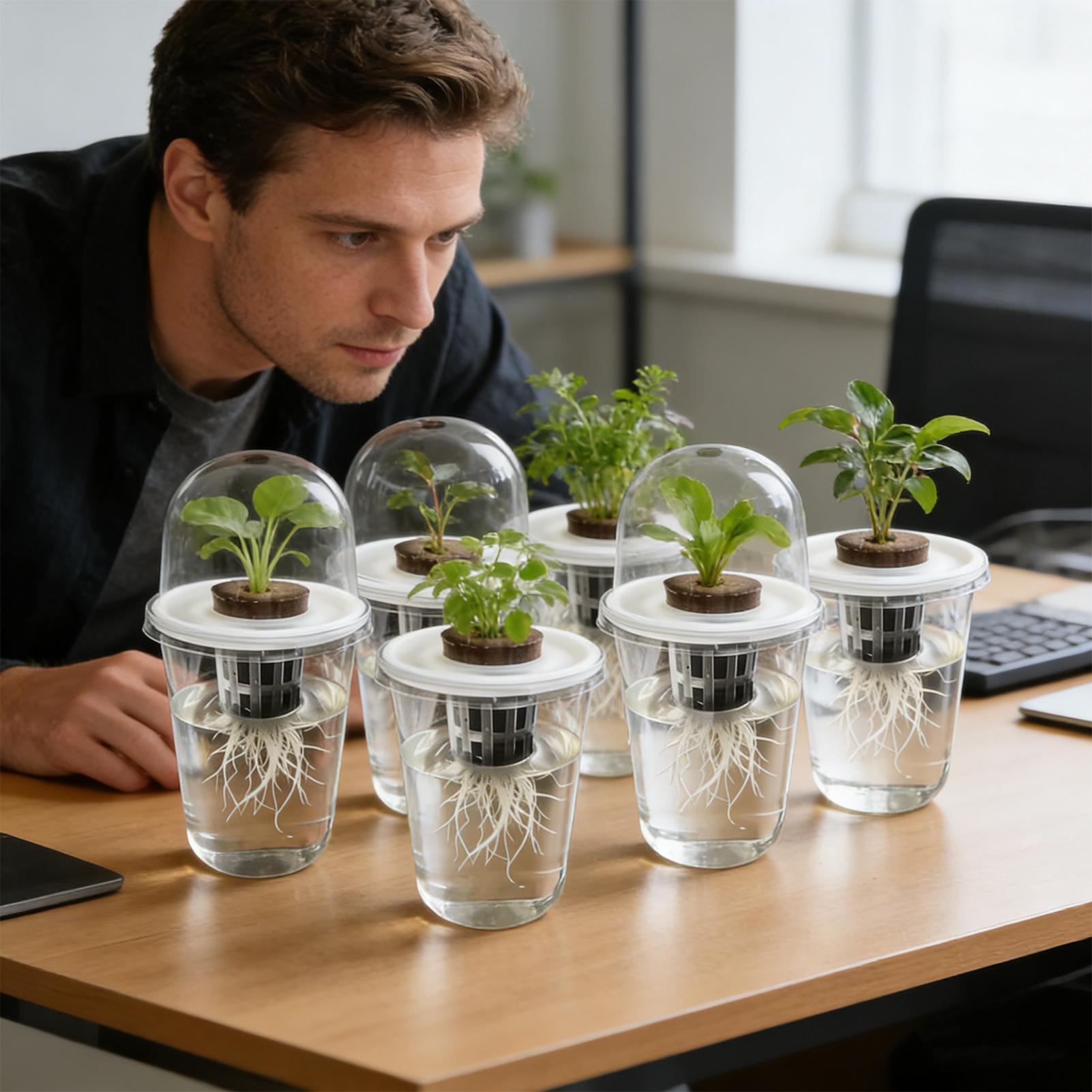1-5 szt. Przezroczyste kubki d – Seed Starter Tray recenzja i cena