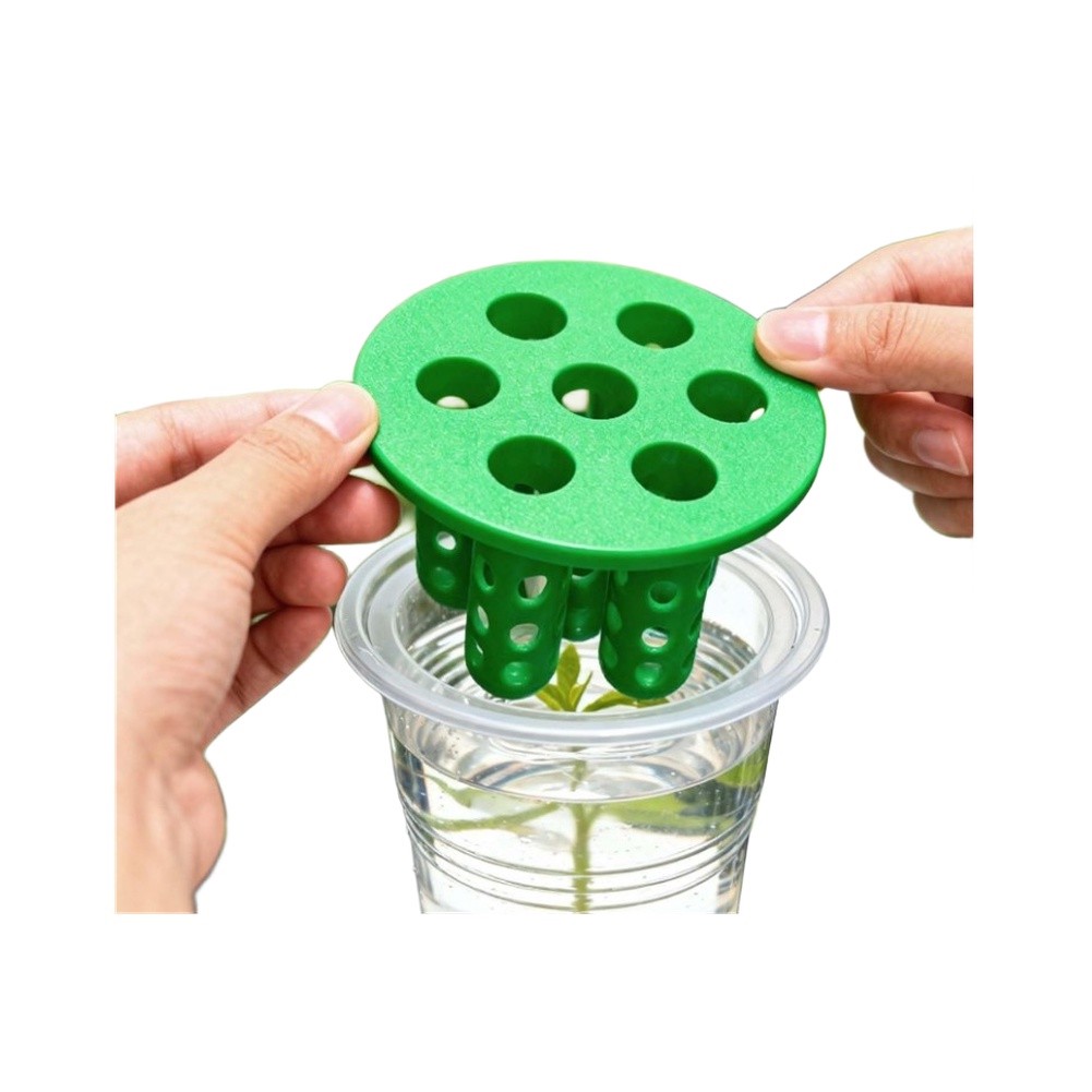 4 sztuki zestawów do wzrostu c – Hydroponic Kit recenzja i cena