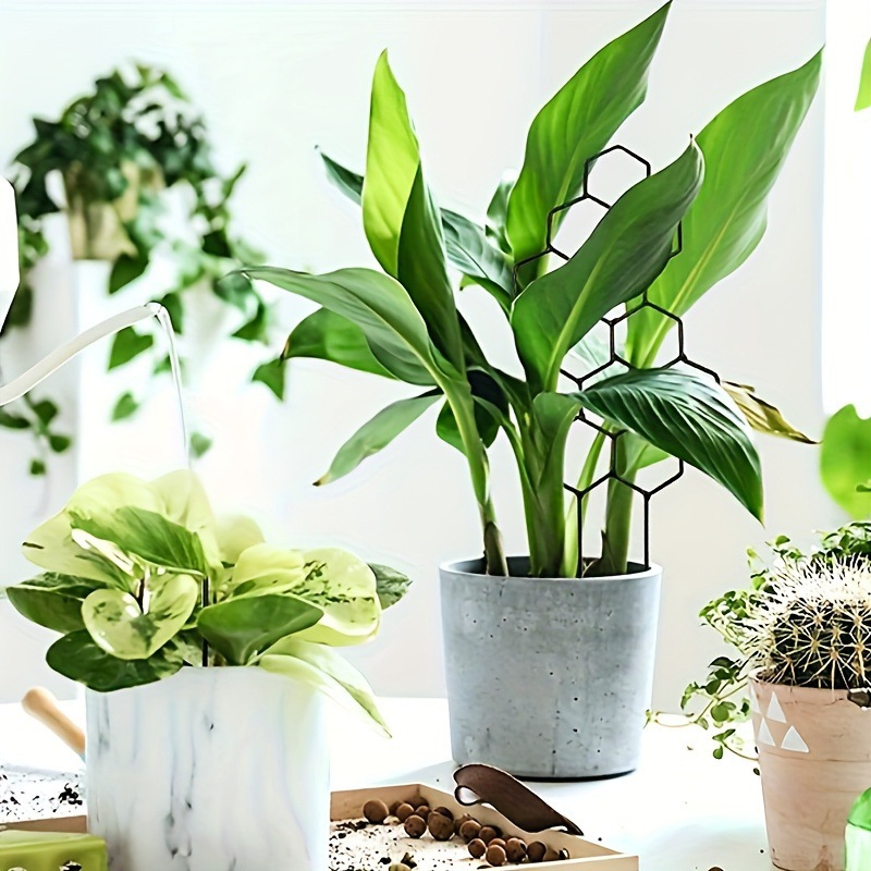 1 szt. Kratka do roślin o stru – Indoor Herb Garden recenzja i cena
